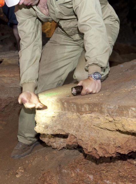 La espectacularidad de la Cueva Victoria se abrirá al público este domingo - 4, Foto 4