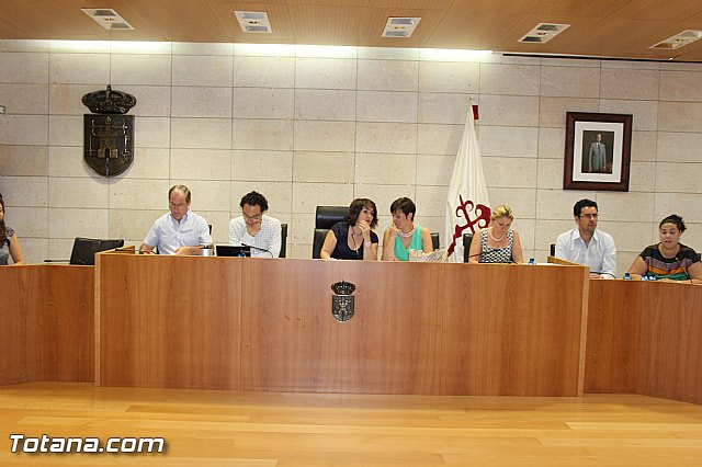 El Pleno acuerda expresar su total rechazo al proyecto de reforma de la Ley de Demarcacin y Planta judicial - 5