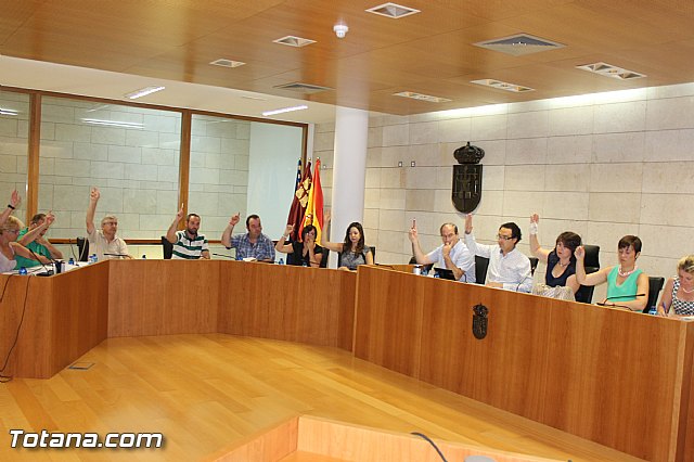 El Pleno acuerda expresar su total rechazo al proyecto de reforma de la Ley de Demarcacin y Planta judicial - 10