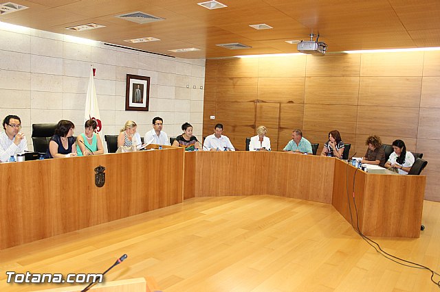 El Pleno acuerda expresar su total rechazo al proyecto de reforma de la Ley de Demarcacin y Planta judicial - 6