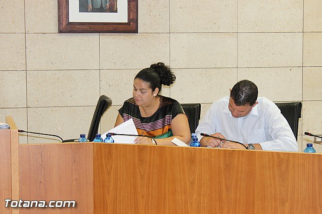 El Pleno acuerda expresar su total rechazo al proyecto de reforma de la Ley de Demarcacin y Planta judicial - 12