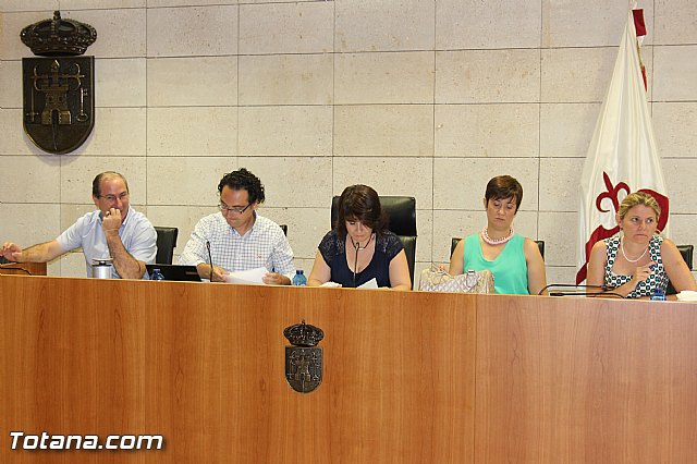 El Pleno acuerda expresar su total rechazo al proyecto de reforma de la Ley de Demarcacin y Planta judicial - 13