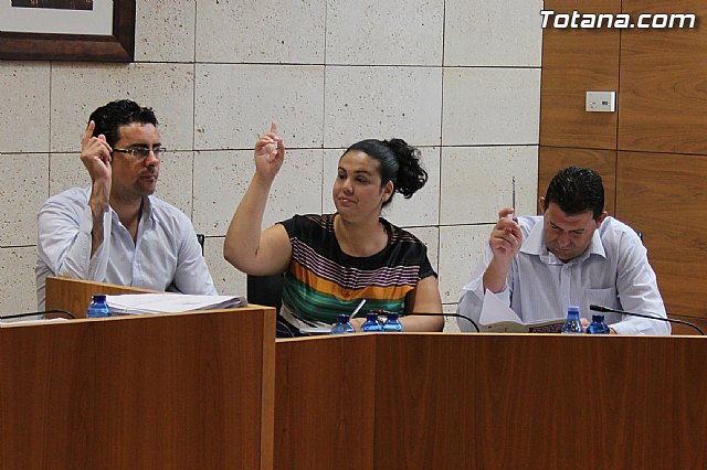 El Pleno acuerda expresar su total rechazo al proyecto de reforma de la Ley de Demarcacin y Planta judicial - 14