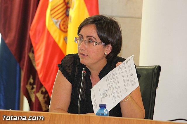 El Pleno acuerda expresar su total rechazo al proyecto de reforma de la Ley de Demarcacin y Planta judicial - 22