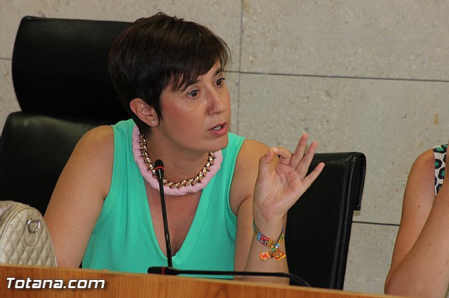 El Pleno acuerda expresar su total rechazo al proyecto de reforma de la Ley de Demarcacin y Planta judicial - 26