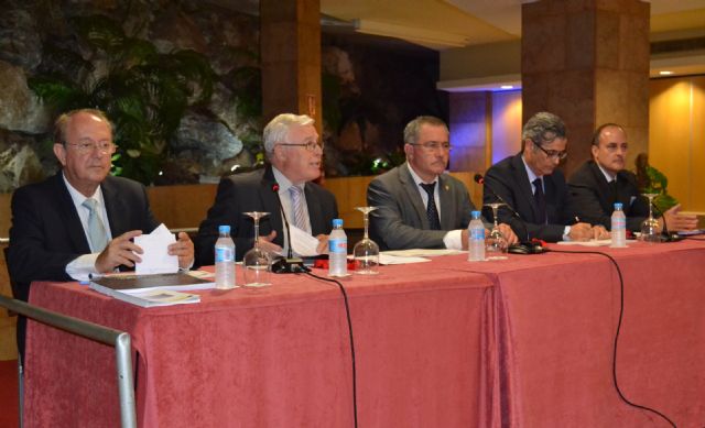 Esta tarde se clausuraba en Águilas el curso El Futuro de la Justicia Penal en España - 4, Foto 4