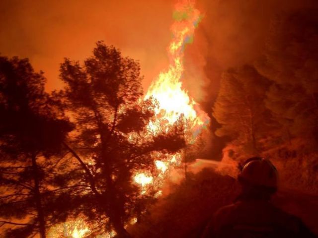 Alerta y consejos para prevenir incendios forestales - 1, Foto 1