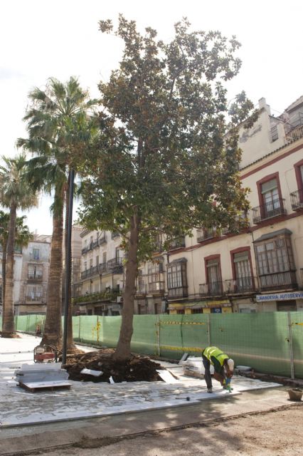 Nuevas zonas ajardinadas culminan la renovada carretera de Torreciega - 4, Foto 4