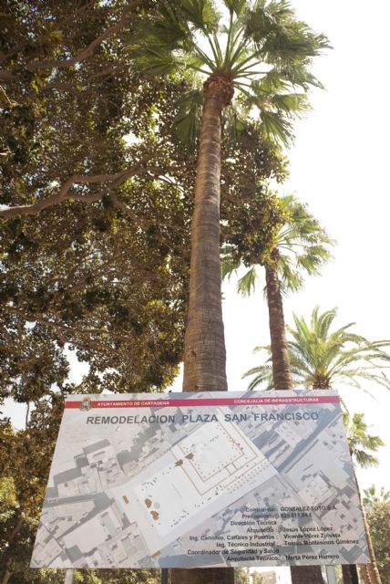 Nuevas zonas ajardinadas culminan la renovada carretera de Torreciega - 5, Foto 5