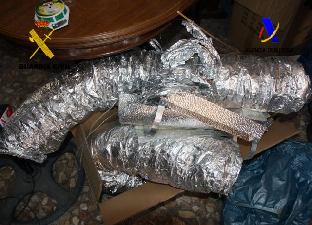Guardia Civil y Servicio de Vigilancia Aduanera desmantelan dos invernaderos clandestinos para el cultivo y distribución de marihuana - 2, Foto 2