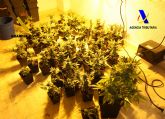 Guardia Civil y Servicio de Vigilancia Aduanera desmantelan dos invernaderos clandestinos para el cultivo y distribución de marihuana