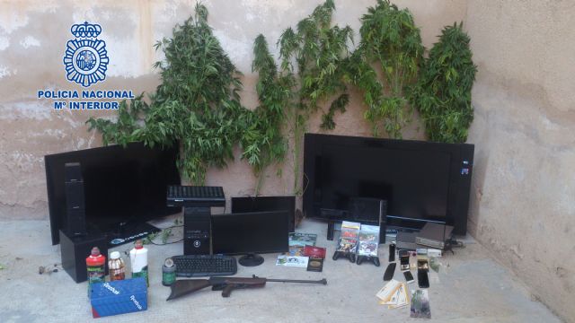 La Policía Nacional desmantela un punto de venta de marihuana en Yecla y detiene a dos personas - 1, Foto 1
