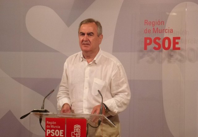 El PSOE afirma que la llegada del AVE en 2014 al centro de Murcia es factible si el PP lo fijara como prioridad - 1, Foto 1