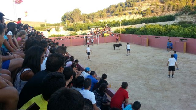 Futbol vaca celebrado en el día de ayer con motivo de las fiestas patronales de Villanueva - 4, Foto 4