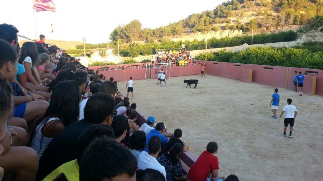 Futbol vaca celebrado en el día de ayer con motivo de las fiestas patronales de Villanueva - 5, Foto 5