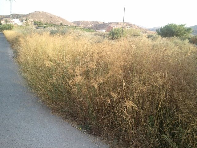 El Grupo Socialista pregunta al PP cuántos incendios necesita para acabar con los solares abandonados - 1, Foto 1