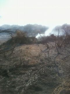 El Grupo Socialista pregunta al PP cuántos incendios necesita para acabar con los solares abandonados - 2, Foto 2