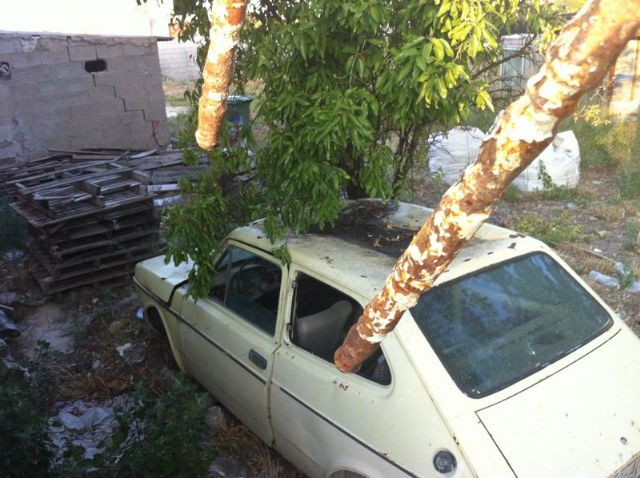 El Grupo Socialista exige la limpieza urgente de un solar convertido en un polvorín en Sangonera la Seca - 2, Foto 2