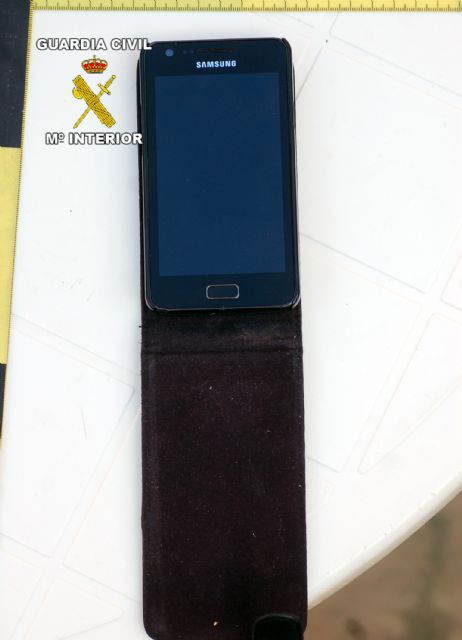 La Guardia Civil desmantela una banda juvenil dedicada a cometer robos con violencia en El Zoco de La Manga - 2, Foto 2