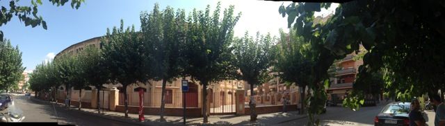 El Grupo Socialista exige al alcalde Cámara que ordene urgentemente la detención de la tala masiva - 2, Foto 2