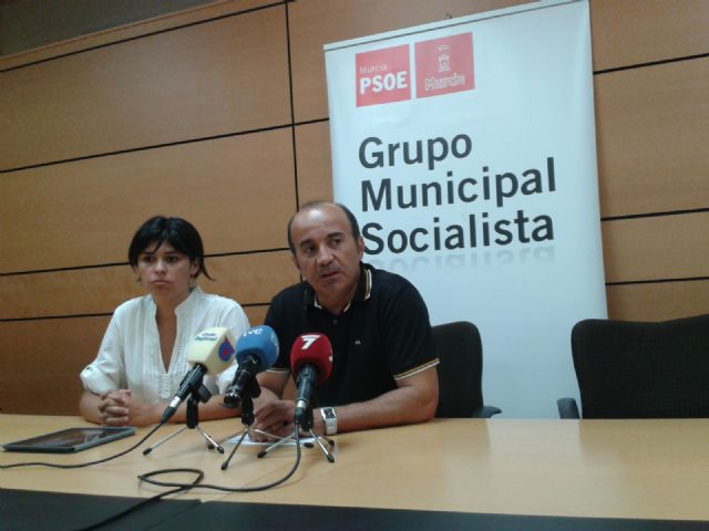 El Grupo Socialista atribuye el final de la tala a la oposición vecinal - 1, Foto 1