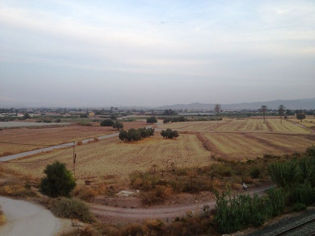 IU-Verdes rechaza la actitud meramente recaudatoria del Ministerio de Agricultura y de la CHS con los agricultores totaneros - 1, Foto 1