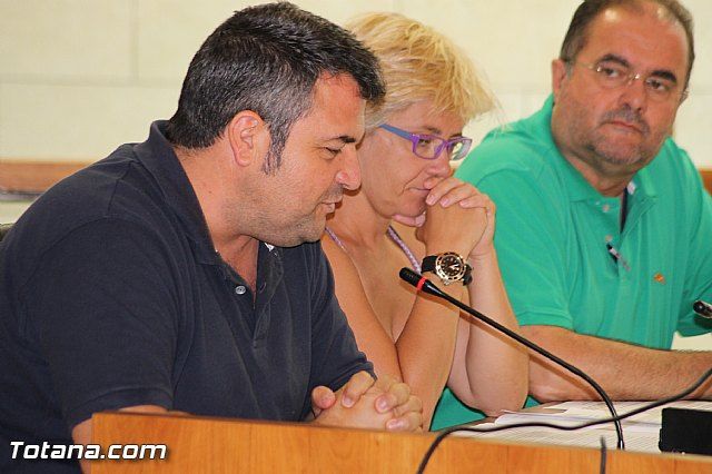 IU-Greens reject the attitude "merely revenue-raising" of the Ministry of Agriculture and farmers totaneros CHS, Foto 2