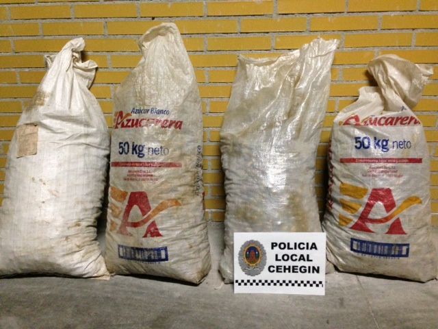 La Policía Local denuncia a dos personas por supuesta falta de hurto de 200 kilos de almendra - 1, Foto 1
