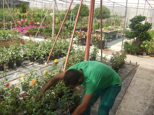 Alumnos del programa Actividades auxiliares en viveros y jardines realizan prácticas en empresas del municipio - 2, Foto 2