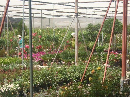 Alumnos del programa Actividades auxiliares en viveros y jardines realizan prácticas en empresas del municipio - 3, Foto 3