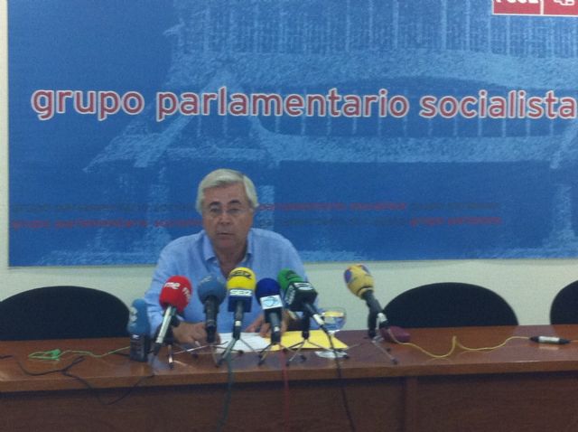 El PSOE no entiende que el Gobierno regional se muestre satisfecho con una ocupación hotelera del 48% en el mes de julio - 1, Foto 1