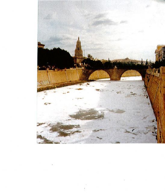 IU-Verdes considera un escándalo vergonzoso la decisión de la Audiencia de anular 10 años de instrucción por la contaminación en el río Segura - 3, Foto 3