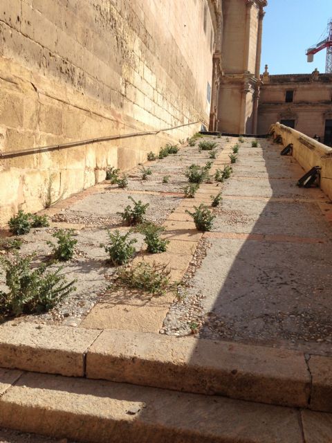 El PSOE denuncia la dejadez del Ayuntamiento de Lorca respecto a la Colegiata de San Patricio - 1, Foto 1