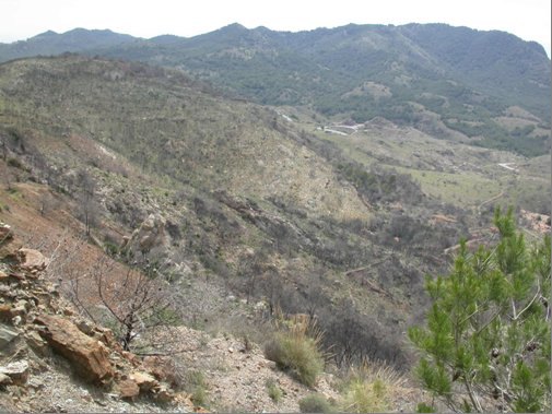 La Comunidad ejecutará actuaciones de restauración vegetal en el Parque Regional de Calblanque - 1, Foto 1