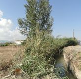 El Grupo Socialista denuncia que el entorno de La Azacaya se ha convertido en una 'selva salvaje'