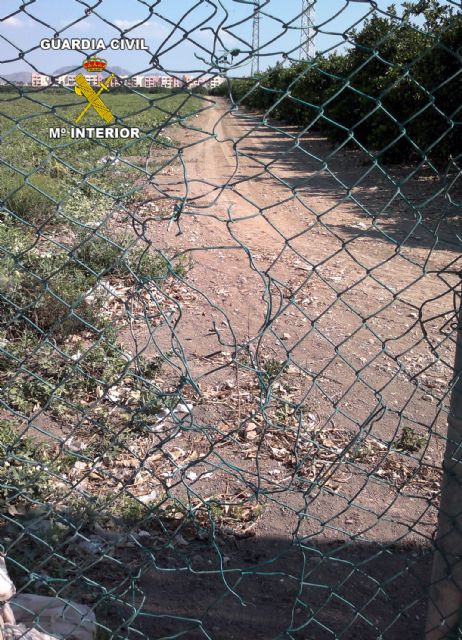 La Guardia Civil detiene a cinco personas por la sustracción de  productos del campo - 2, Foto 2