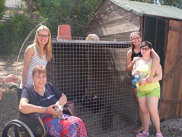 Campamento de verano de PADISITO 2013 - 4