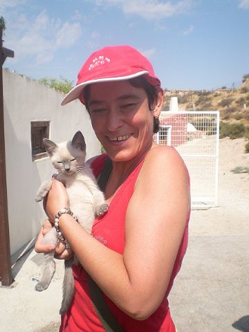 Campamento de verano de PADISITO 2013 - 9