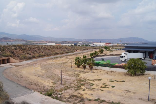 Se aprueba la reposición de cableado sustraído para dotar de alumbrado público las zonas del Polígono Industrial El Saladar, Foto 1