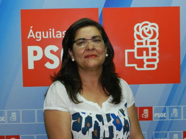 El PSOE pide la ampliación de la partida presupuestaria para la adquisición de libros de texto - 1, Foto 1