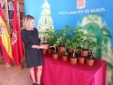 Medio Ambiente plantar ms de 4.500 rboles en el municipio de Murcia hasta mayo de 2014