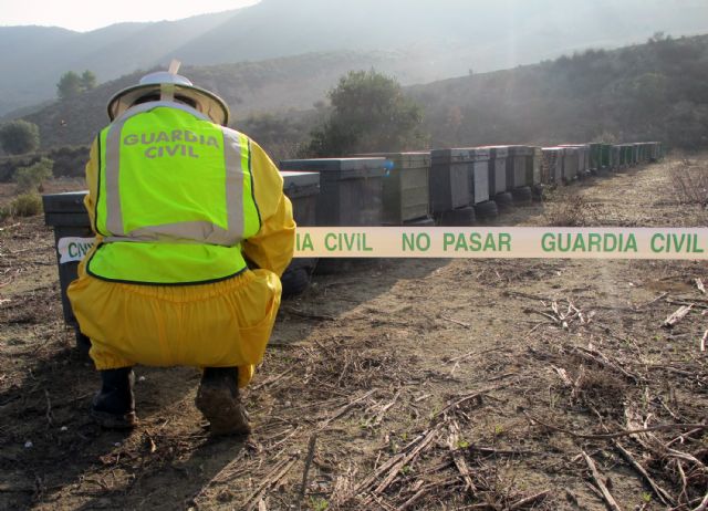 La Guardia Civil detiene a un apicultor por simular la sustracción de colmenas para cobrar la indemnización del seguro - 1, Foto 1