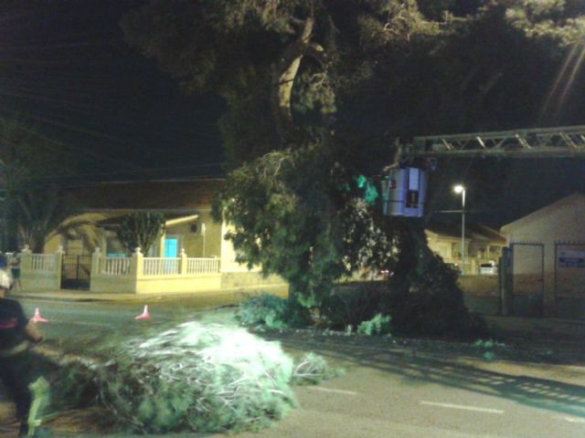 Bomberos retiran una rama caída en la carretera de El Albujón - 1, Foto 1