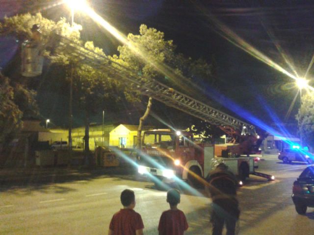 Bomberos retiran una rama caída en la carretera de El Albujón - 2, Foto 2