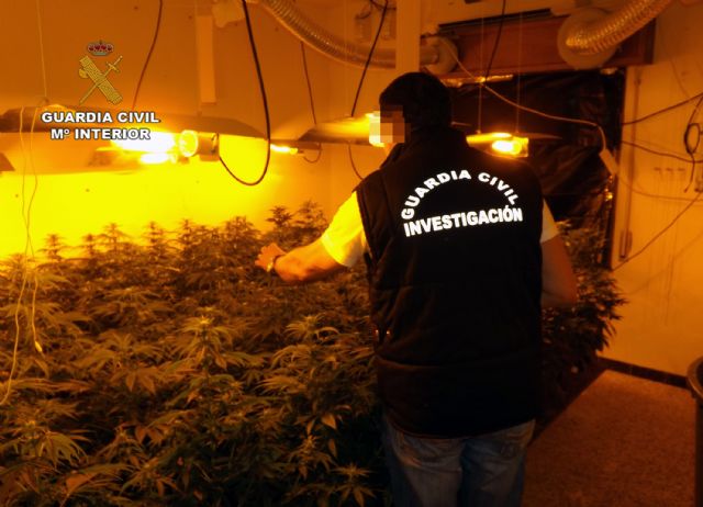La Guardia Civil desmantela un invernadero clandestino de marihuana en una casa de campo de Abarán - 2, Foto 2