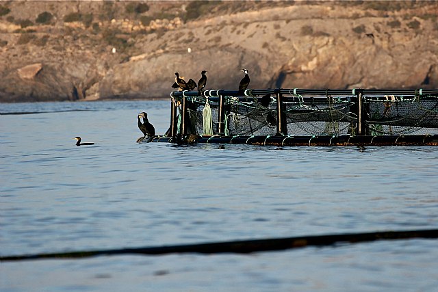 Fotos: Sergio Eguía Martínez, Foto 1