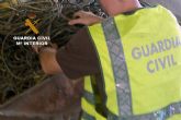 La Guardia Civil detiene a un grupo de jóvenes por la sustracción de cable de cobre de alumbrado público
