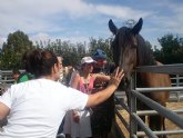 PADISITO visita un centro de terapias ecuestres en Alhama de Murcia