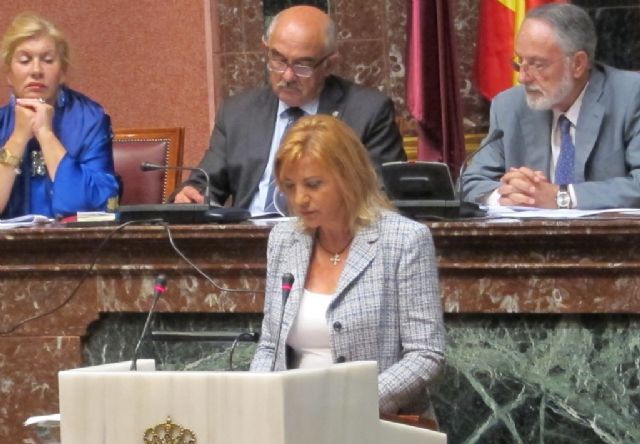 El GPP pide instituir el Día Regional de los Trastornos de la Alimentación - 1, Foto 1