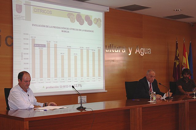 Agricultura prevé un aumento de la producción de cítricos en la Región superior a un 12 por ciento gracias a las últimas lluvias - 1, Foto 1